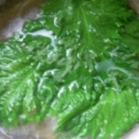 長期保存出来て お握りや薬味に最適 青紫蘇の塩漬け レシピ 作り方 By Nkkmarine 楽天レシピ 長期保存出来て お握りや薬味に最適 青紫蘇の塩漬け レシピ 作り方 By Nkkmarine 楽天レシピ